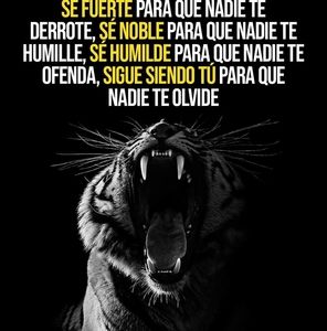 Meet your Posher, Cedillo